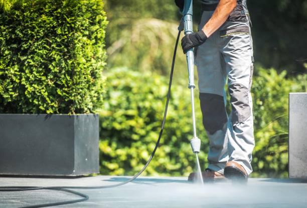 Best Solar Panel Cleaning  in Itasca, TX